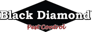 Black Diamond Franchise Logo