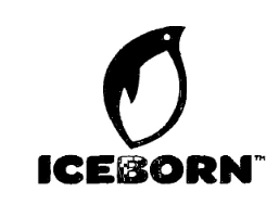 ICE HOUSE AMERICA Franchise Logo