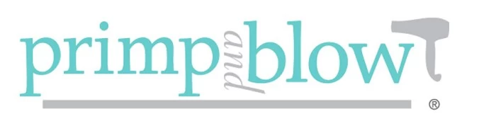 Primp and Blow, a Blow Dry Bar Franchise Logo