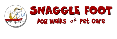 Snaggle Foot Franchise Logo