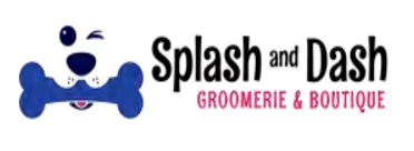 Splash and Dash Franchise Logo