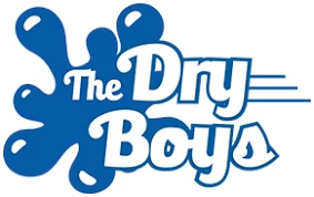 The Dry Boys Franchise Logo