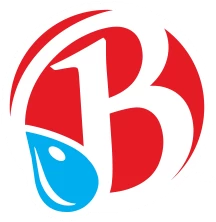 THE ORIGINAL BROOKLYN WATER BAGEL CO. Franchise Logo