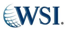 WSI Franchise Logo