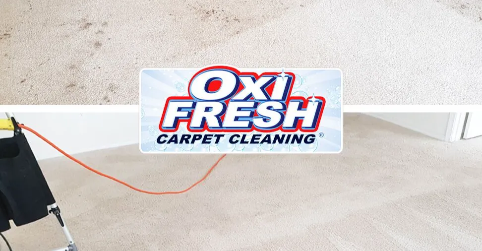 Oxi Fresh Carpet Cleaning Franchising Informaton